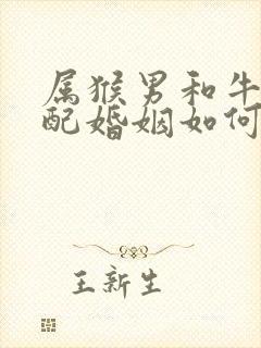 属猴男和牛女相配婚姻如何
