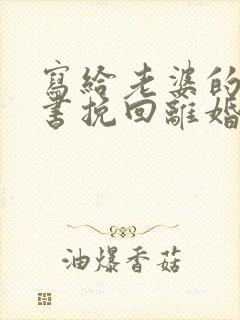 写给老婆的保证书挽回离婚