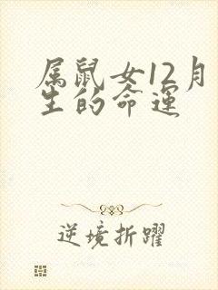 属鼠女12月出生的命运