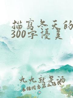 描写冬天的段落300字优美