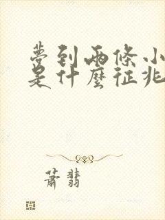 梦到两条小黑蛇是什么征兆 女性