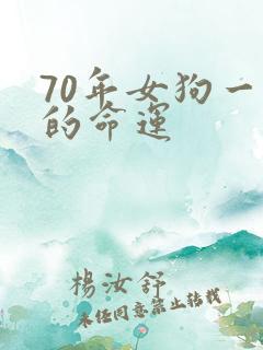 70年女狗一生的命运