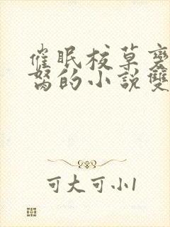 催眠校草变成禁胬的小说双男主