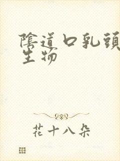 阴道口乳头状赘生物