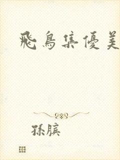 飞鸟集优美句子