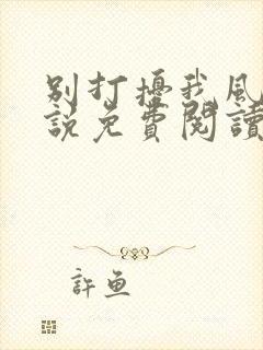 别打扰我风水小说免费阅读全文最新