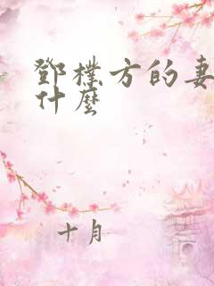 邓朴方的妻子叫什么