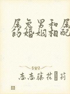 属兔男和属牛女的婚姻相配吗