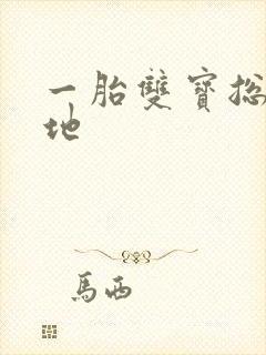 一胎双宝总裁爹地