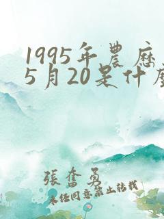 1995年农历5月20是什么命