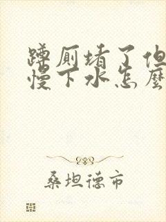 蹲厕堵了但还缓慢下水怎么通