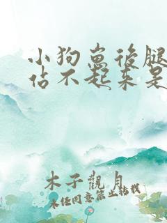 小狗崽后腿无力站不起来是什么原因