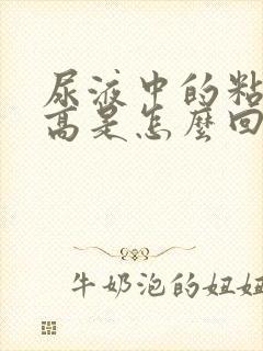 尿液中的粘液丝高是怎么回事