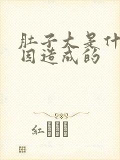 肚子大是什么原因造成的