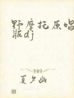 野摩托原唱完整版dj