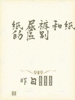 纸尿裤和纸尿片的区别