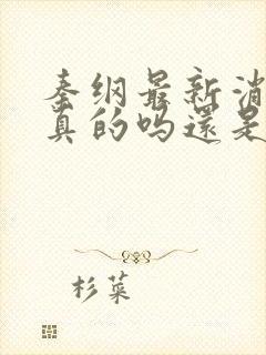 秦纲最新消息是真的吗还是假的