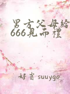 男方父母给了6666见面礼