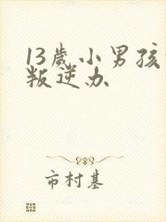 13岁小男孩的叛逆办