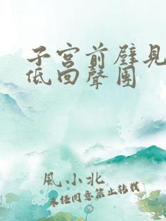 子宫前壁见一个低回声团