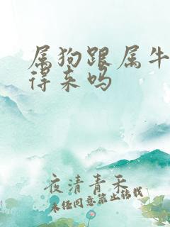 属狗跟属牛的合得来吗