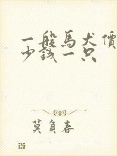 一般马犬价格多少钱一只