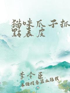 猫咪爪子抓破了点表皮