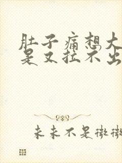 肚子痛想大便但是又拉不出来是什么原因