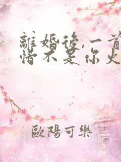 离婚后,一首可惜不是你火爆全网小说