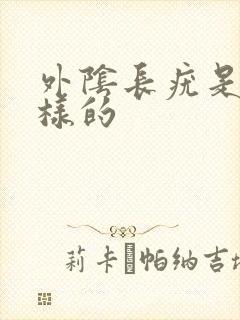 外阴长疣是怎么样的