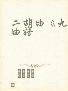 二胡曲《九儿》曲谱