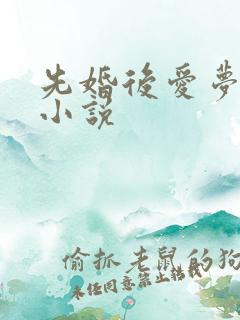 先婚后爱梦筱二小说