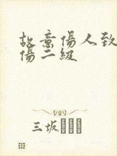 故意伤人致人轻伤二级