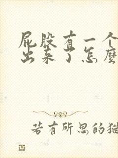 屁股有一个肉球出来了怎么回事