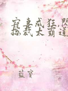 宠妻成狂,闪婚总裁太霸道