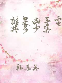 谁是凶手电视剧共多少集