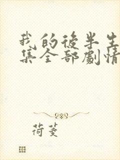 我的后半生36集全部剧情介绍