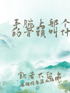 手腕上那个凸起的骨头叫什么