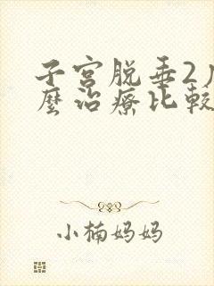 子宫脱垂2度怎么治疗比较好