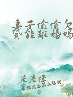 妻子偷偷欠了网贷能离婚吗