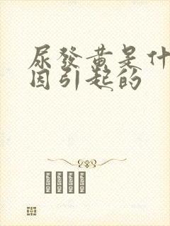 尿发黄是什么原因引起的