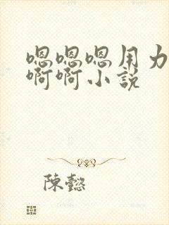 嗯嗯嗯用力校花啊啊小说