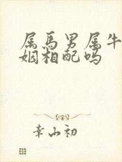 属马男属牛女婚姻相配吗