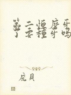 第二恒磨牙拔掉了要种牙吗