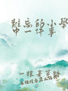 难忘的小学生活中一件事