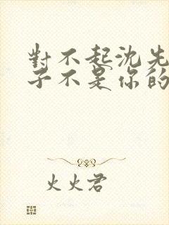 对不起沈先生孩子不是你的短剧免费