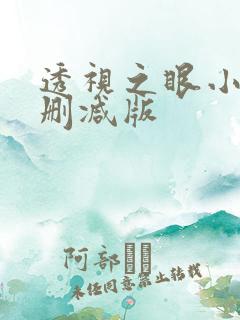 透视之眼小说无删减版