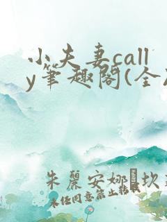 小夫妻cally笔趣阁(全)