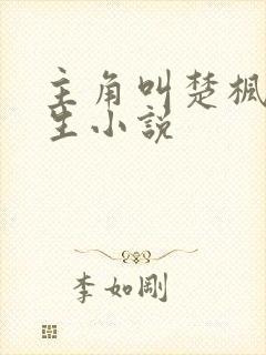 主角叫楚枫的重生小说