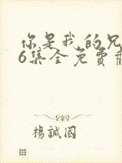 你是我的兄弟36集全免费观看